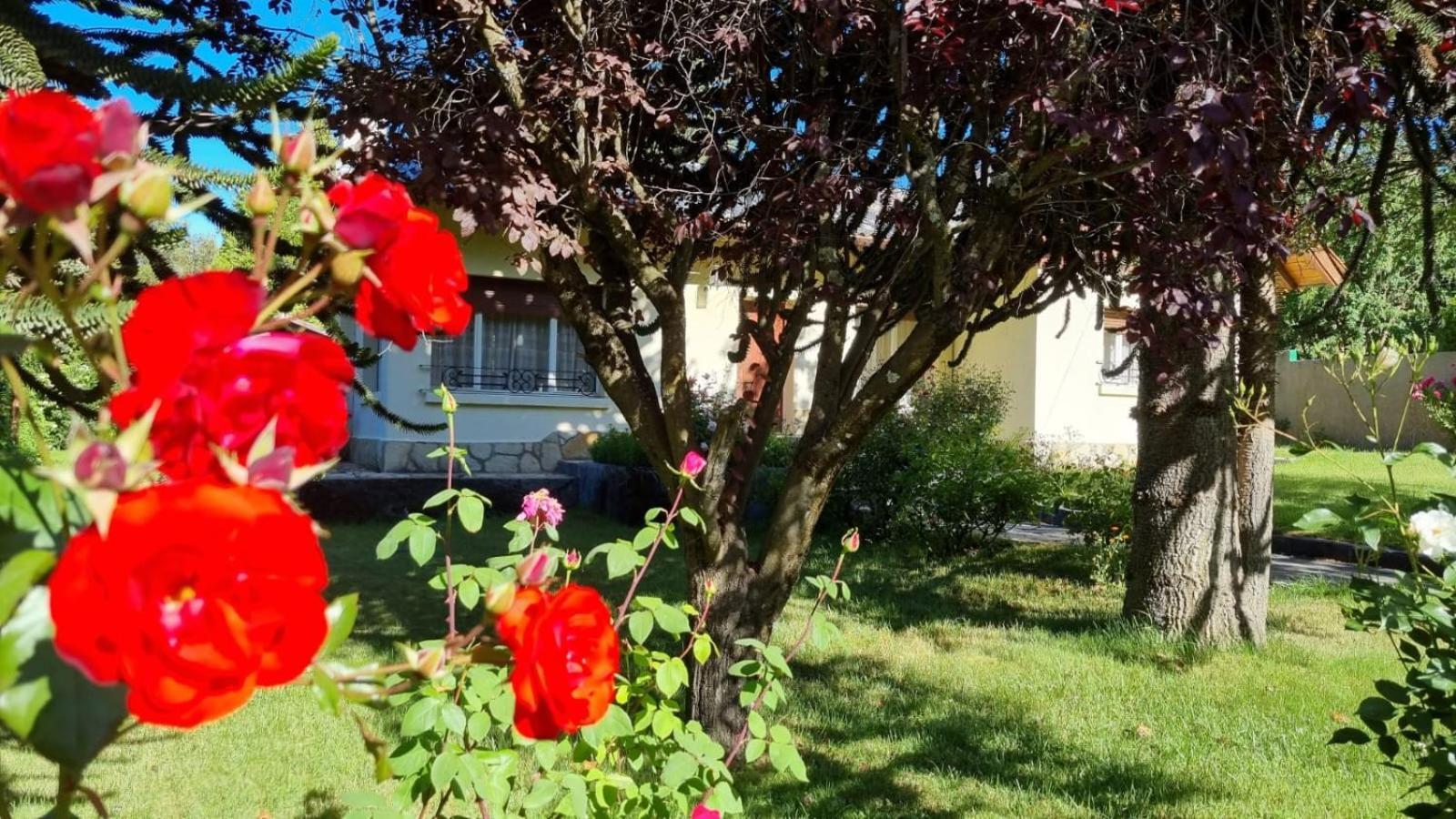 De Las Rosas Bariloche Esterno foto